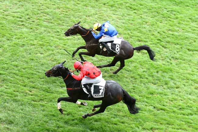 Photo d'arrivée de la course pmu PRIX LOUIS DE GUEBRIANT à CRAON le Dimanche 4 septembre 2016