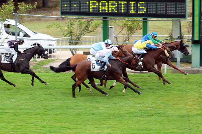 Photo d'arrivée de la course pmu PRIX DE LA FELICITE à SAINT-CLOUD le Dimanche 4 septembre 2016