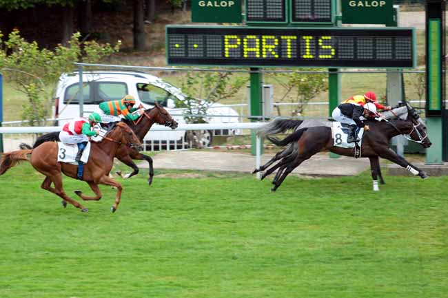 Photo d'arrivée de la course pmu GRAND PRIX DES ANGLO-ARABES à SAINT-CLOUD le Dimanche 4 septembre 2016