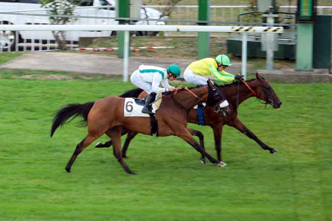 Photo d'arrivée de la course pmu PRIX DE FAUSSES REPOSES à SAINT-CLOUD le Dimanche 4 septembre 2016