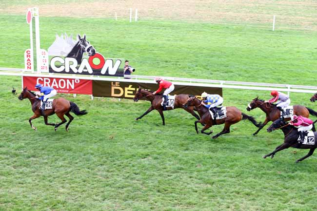 Photo d'arrivée de la course pmu PRIX DE LA VILLE DE CRAON - HANDICAP DE CRAON à CRAON le Lundi 5 septembre 2016