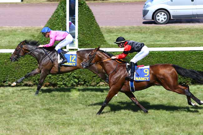 Photo d'arrivée de la course pmu PRIX METROPOLE DU GRAND NANCY à NANCY le Mardi 6 septembre 2016