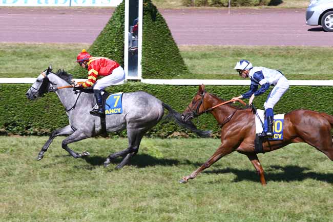 Photo d'arrivée de la course pmu PRIX DE LA FEDERATION DE L'EST à NANCY le Mardi 6 septembre 2016