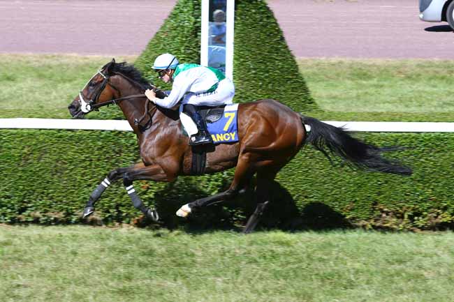Photo d'arrivée de la course pmu PRIX DU SYNDICAT DES PROPRIETAIRES DE CHEVAUX DE COURSES à NANCY le Mardi 6 septembre 2016