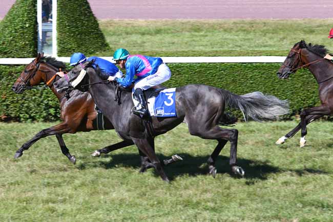 Photo d'arrivée de la course pmu PRIX FRANCE BLEU à NANCY le Mardi 6 septembre 2016