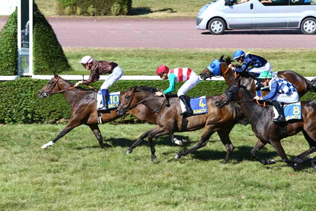 Photo d'arrivée de la course pmu PRIX DU POLE HIPPIQUE REGIONAL DE ROSIERES AUX SALINES à NANCY le Mardi 6 septembre 2016