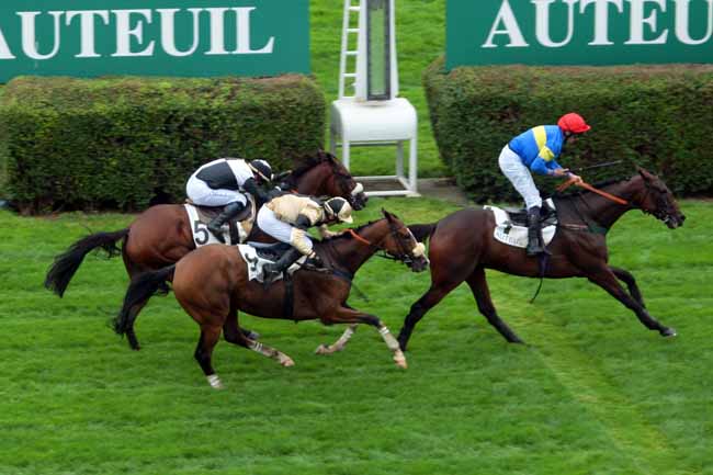 Photo d'arrivée de la course pmu PRIX WORLD CITIZEN à AUTEUIL le Mardi 6 septembre 2016