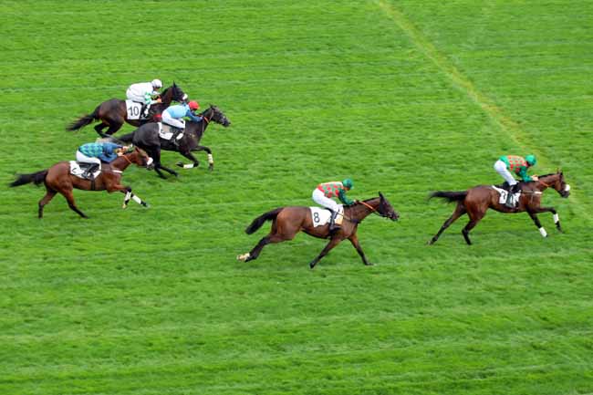 Photo d'arrivée de la course pmu PRIX MELANOS à AUTEUIL le Mardi 6 septembre 2016