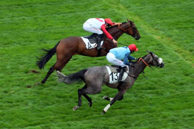 Photo d'arrivée de la course pmu PRIX ACHILLE-FOULD à AUTEUIL le Mardi 6 septembre 2016