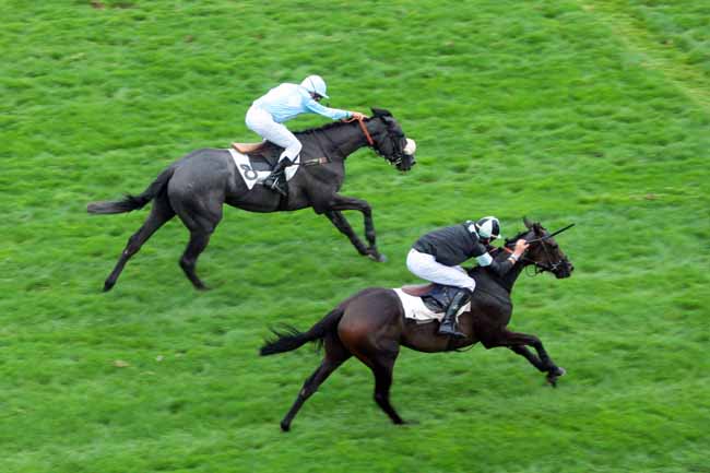 Photo d'arrivée de la course pmu PRIX FALZAREGO à AUTEUIL le Mardi 6 septembre 2016