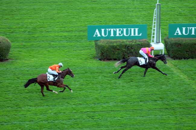 Photo d'arrivée de la course pmu PRIX JEAN NOIRET à AUTEUIL le Mardi 6 septembre 2016