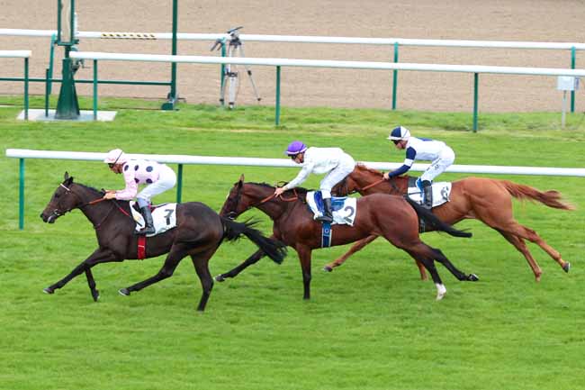 Photo d'arrivée de la course pmu PRIX D'AUMALE à CHANTILLY le Jeudi 8 septembre 2016
