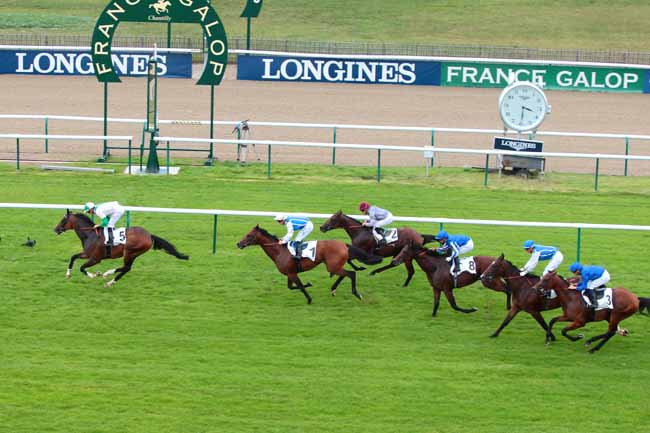 Photo d'arrivée de la course pmu PRIX DU PIN à CHANTILLY le Jeudi 8 septembre 2016