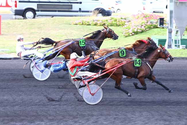 Photo d'arrivée de la course pmu PRIX DE NUEIL-SUR-LAYON à PARIS-VINCENNES le Samedi 10 septembre 2016