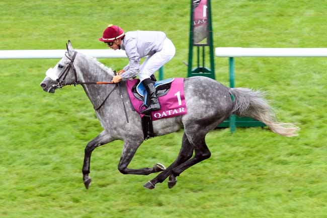 Photo d'arrivée de la course pmu QATAR CUP - PRIX DRAGON à CHANTILLY le Dimanche 11 septembre 2016