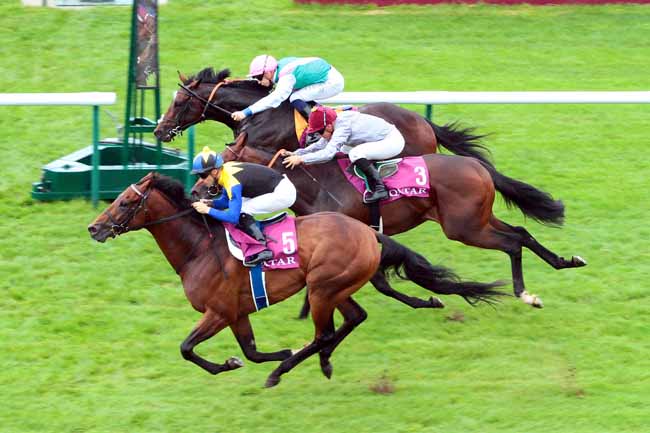 Photo d'arrivée de la course pmu QATAR PRIX NIEL à CHANTILLY le Dimanche 11 septembre 2016