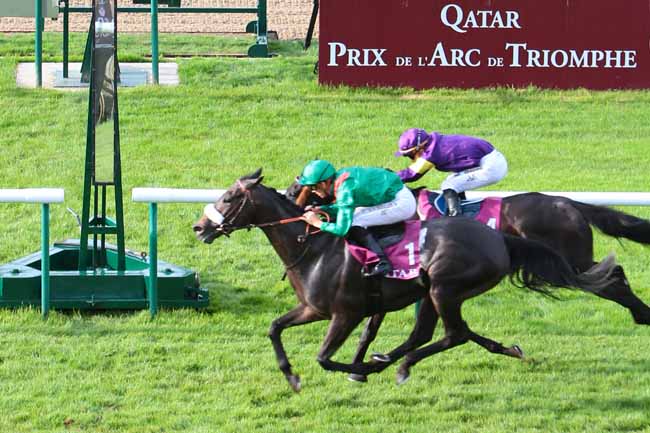 Photo d'arrivée de la course pmu QATAR PRIX GLADIATEUR à CHANTILLY le Dimanche 11 septembre 2016