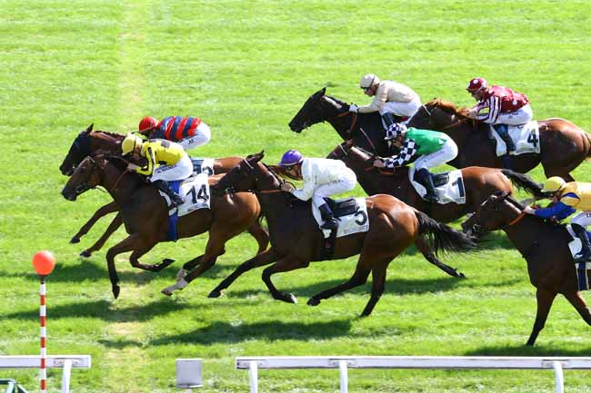 Photo d'arrivée de la course pmu PRIX DES AUNETTES à MAISONS-LAFFITTE le Lundi 12 septembre 2016