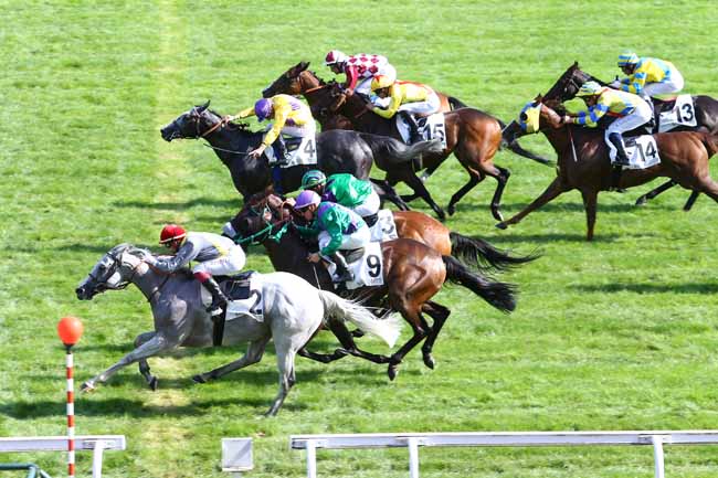 Photo d'arrivée de la course pmu PRIX DU MOULIN DE MAISONS-LAFFITTE à MAISONS-LAFFITTE le Lundi 12 septembre 2016