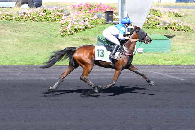 Photo d'arrivée de la course pmu PRIX DE DURBAN à PARIS-VINCENNES le Lundi 12 septembre 2016