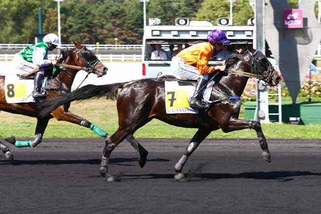 Photo d'arrivée de la course pmu PRIX CENERI FORCINAL à PARIS-VINCENNES le Lundi 12 septembre 2016