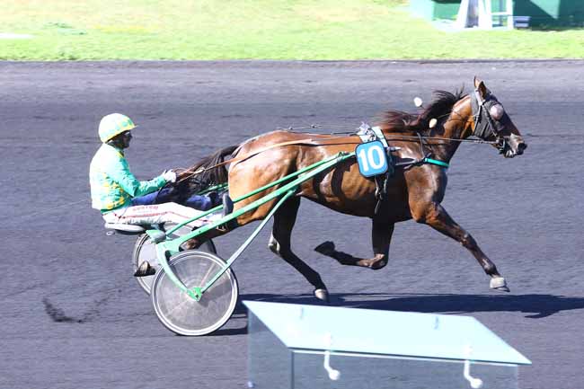 Photo d'arrivée de la course pmu PRIX DE DENAIN (GR B) à PARIS-VINCENNES le Lundi 12 septembre 2016