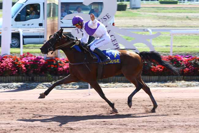 Photo d'arrivée de la course pmu PRIX DE BELESTA à TOULOUSE le Mardi 13 septembre 2016