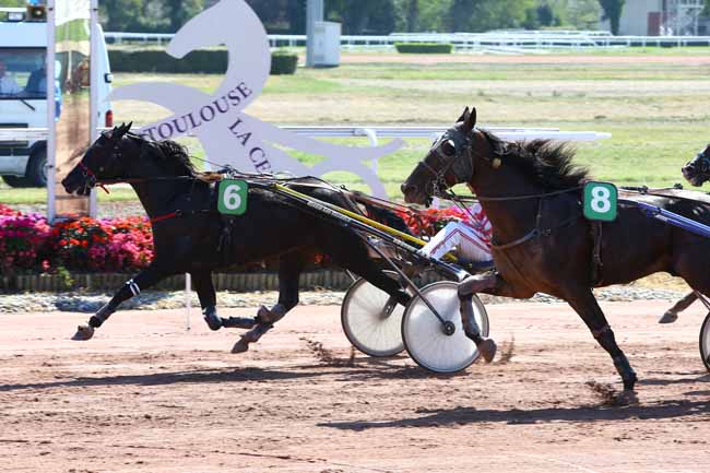 Photo d'arrivée de la course pmu PRIX JEAN-LOUIS COME à TOULOUSE le Mardi 13 septembre 2016