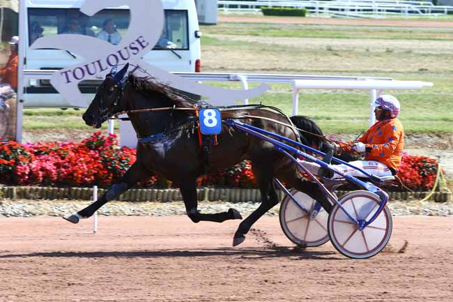 Photo d'arrivée de la course pmu GRAND PRIX BARON D'ARDEUIL AOC BUZET à TOULOUSE le Mardi 13 septembre 2016