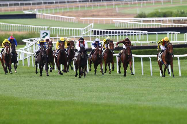 Photo d'arrivée de la course pmu PRIX DES NOYERS à FONTAINEBLEAU le Mardi 13 septembre 2016