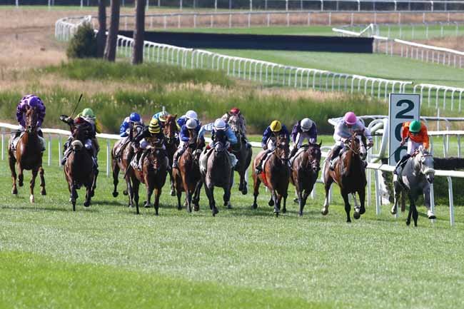 Photo d'arrivée de la course pmu PRIX DU CENTRE D'ECOTOURISME DE FRANCHARD à FONTAINEBLEAU le Mardi 13 septembre 2016