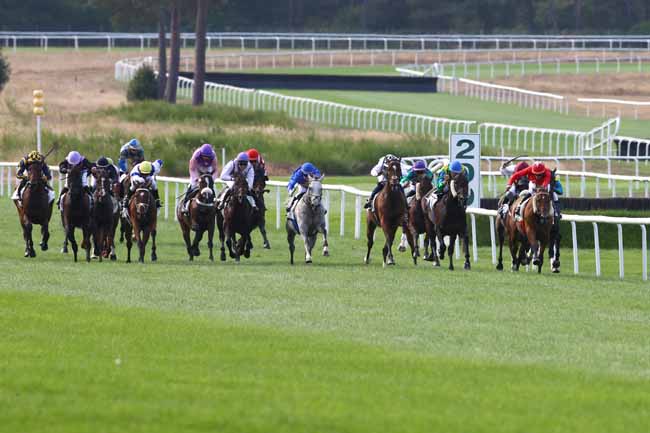 Photo d'arrivée de la course pmu PRIX DE LA FAISANDERIE à FONTAINEBLEAU le Mardi 13 septembre 2016