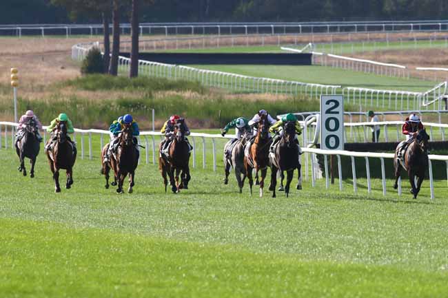Photo d'arrivée de la course pmu PRIX DES ALISIERS à FONTAINEBLEAU le Mardi 13 septembre 2016