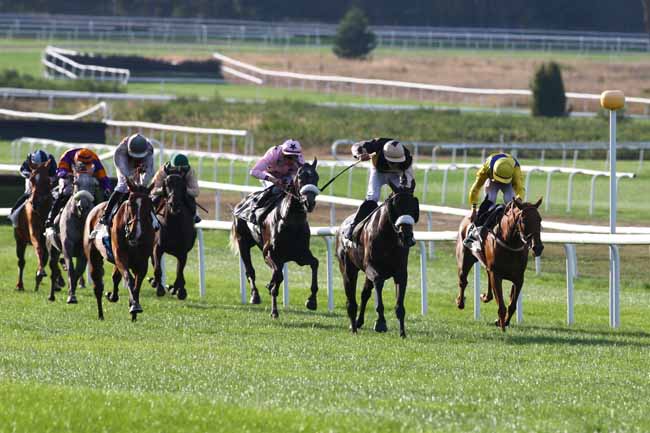 Photo d'arrivée de la course pmu PRIX GEORGES COURTOIS à FONTAINEBLEAU le Mardi 13 septembre 2016
