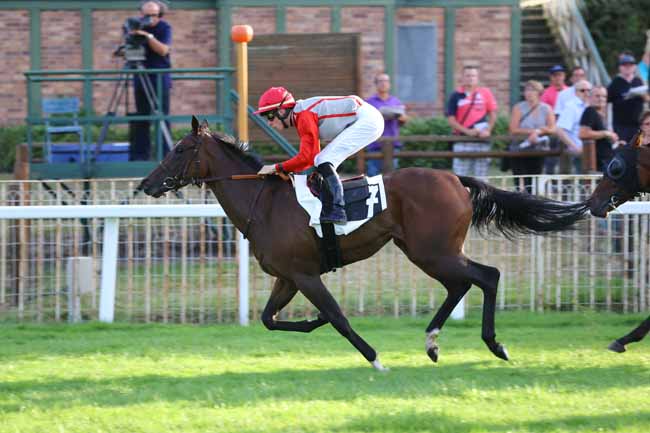 Photo d'arrivée de la course pmu PRIX DES ERABLES à FONTAINEBLEAU le Mardi 13 septembre 2016