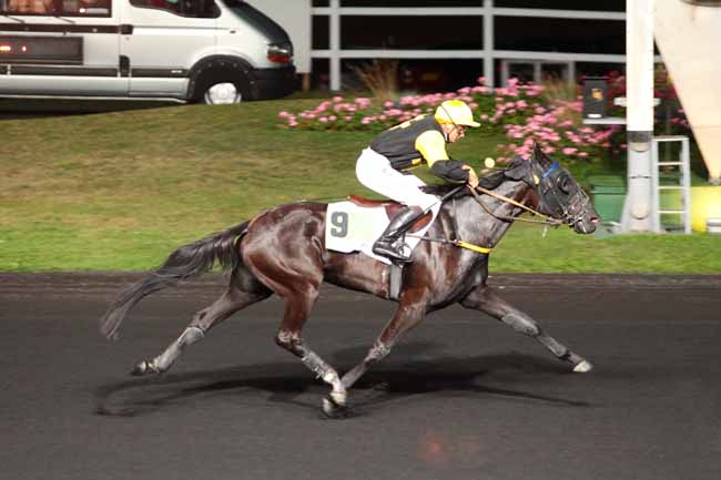 Photo d'arrivée de la course pmu PRIX AGRIPPA à PARIS-VINCENNES le Mardi 13 septembre 2016