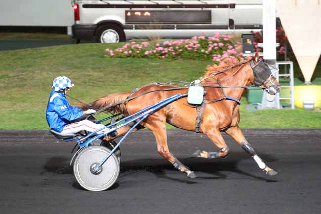 Photo d'arrivée de la course pmu PRIX ALKESTE à PARIS-VINCENNES le Mardi 13 septembre 2016