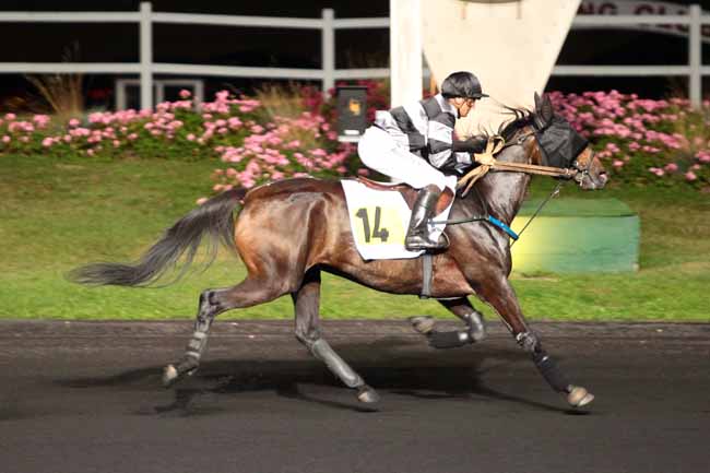 Photo d'arrivée de la course pmu PRIX MUSCA à PARIS-VINCENNES le Mardi 13 septembre 2016