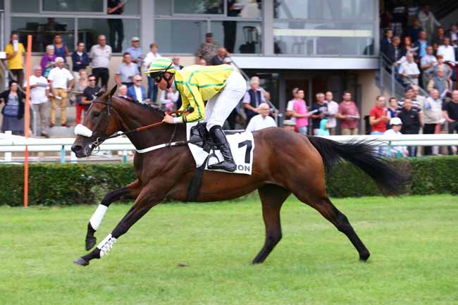 Photo d'arrivée de la course pmu PRIX DE CHAMBELLAY à LE LION D'ANGERS le Mercredi 14 septembre 2016