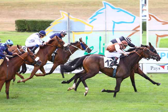 Photo d'arrivée de la course pmu HANDICAP DU LION D'ANGERS - PRIX DE L'ASSELCO à LE LION D'ANGERS le Mercredi 14 septembre 2016