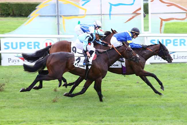 Photo d'arrivée de la course pmu PRIX DE L'AMBASSADE REGIONALE DES CONFRERIES DES PAYS DE LOIRE à LE LION D'ANGERS le Mercredi 14 septembre 2016