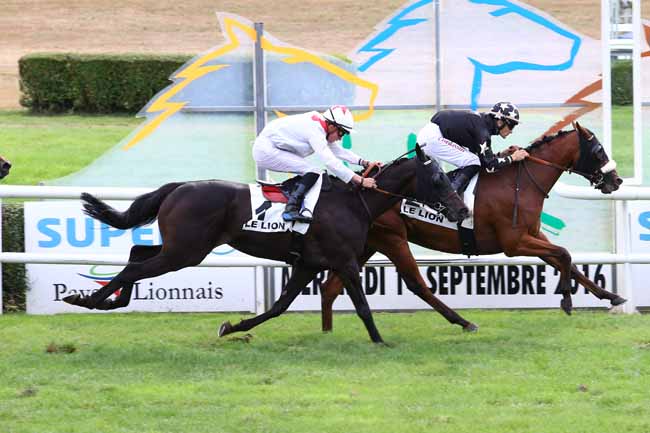 Photo d'arrivée de la course pmu PRIX DU MONDIAL DU LION à LE LION D'ANGERS le Mercredi 14 septembre 2016
