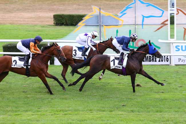 Photo d'arrivée de la course pmu PRIX DE LA FEE DU MAS à LE LION D'ANGERS le Mercredi 14 septembre 2016