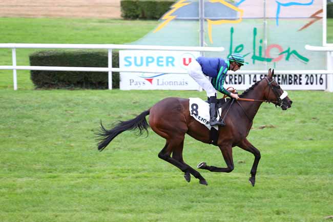 Photo d'arrivée de la course pmu PRIX BVS à LE LION D'ANGERS le Mercredi 14 septembre 2016