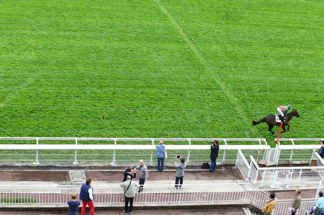 Photo d'arrivée de la course pmu PRIX DE COMPIEGNE à AUTEUIL le Jeudi 15 septembre 2016