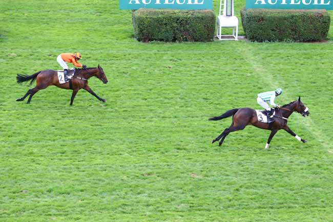 Photo d'arrivée de la course pmu PRIX MELI-MELO à AUTEUIL le Jeudi 15 septembre 2016