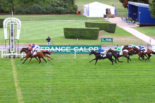 Photo d'arrivée de la course pmu PRIX DU PRINCE D'ORANGE à MAISONS-LAFFITTE le Samedi 17 septembre 2016