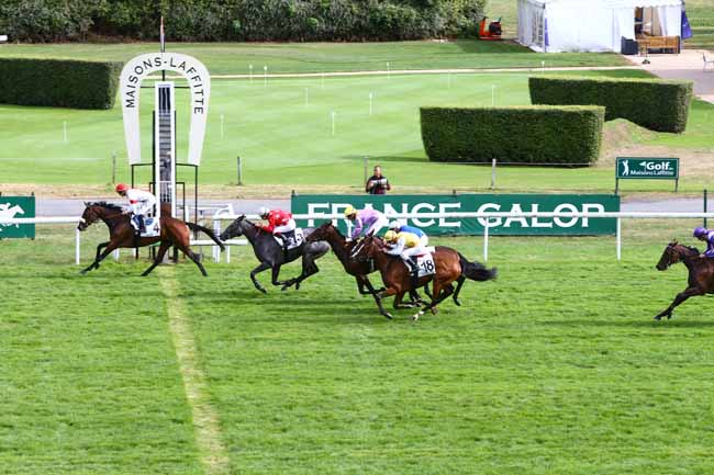 Photo d'arrivée de la course pmu PRIX DES JARDINS D'EOLE à MAISONS-LAFFITTE le Samedi 17 septembre 2016