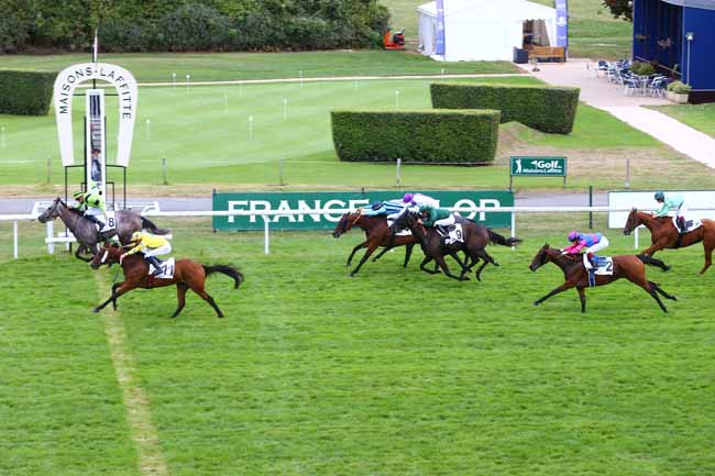 Photo d'arrivée de la course pmu PRIX DE L'ILE LOUVIERS à MAISONS-LAFFITTE le Samedi 17 septembre 2016