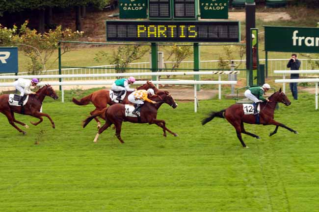 Photo d'arrivée de la course pmu PRIX PHAREL à SAINT-CLOUD le Lundi 19 septembre 2016